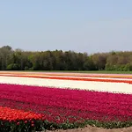 Met Prive Tuin, Dichtbij Holiday home