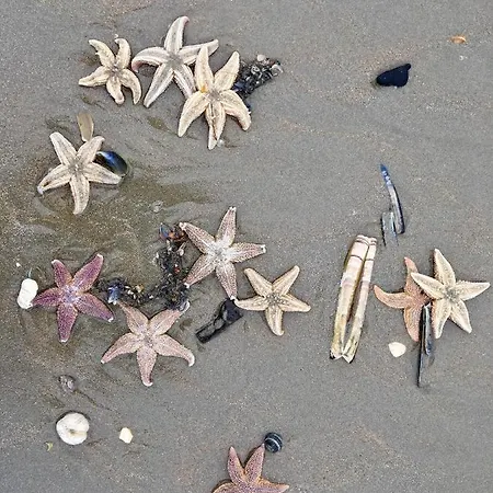 Tatil Evi Met Prive Tuin, Dichtbij *