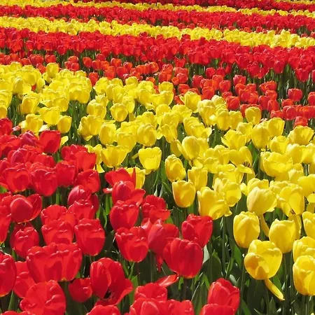 Met Privé Tuin, Dichtbij