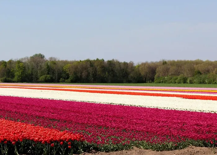 Met Prive Tuin, Dichtbij Tatil Evi