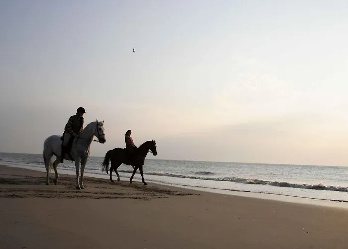 Met Prive Tuin, Dichtbij Tatil Evi