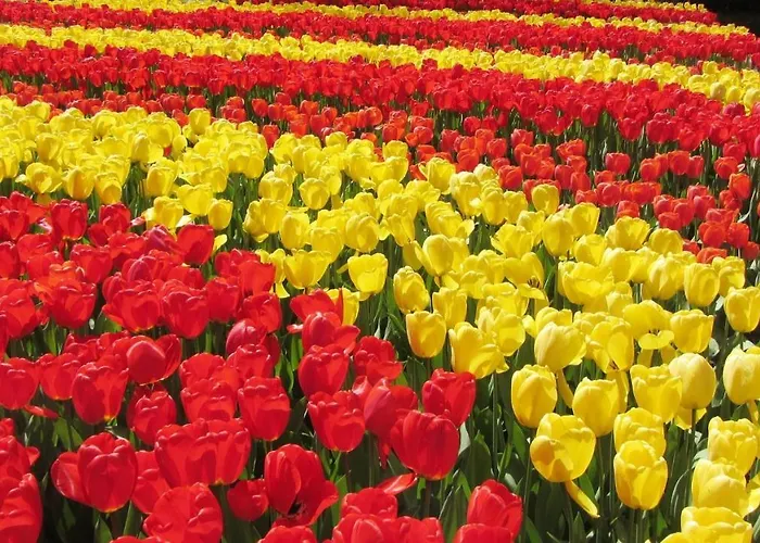 Met Prive Tuin, Dichtbij